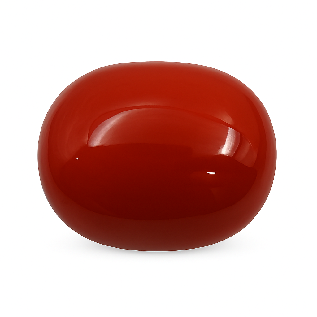 Coral (Premium AA) - Italian