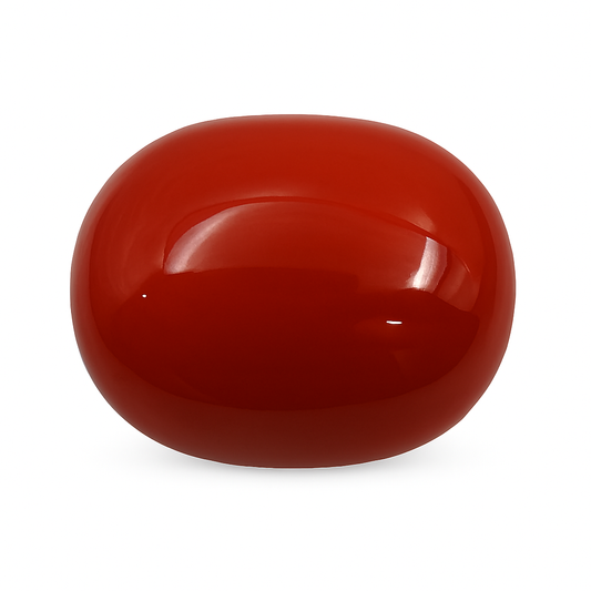 Coral (Premium AA) - Italian