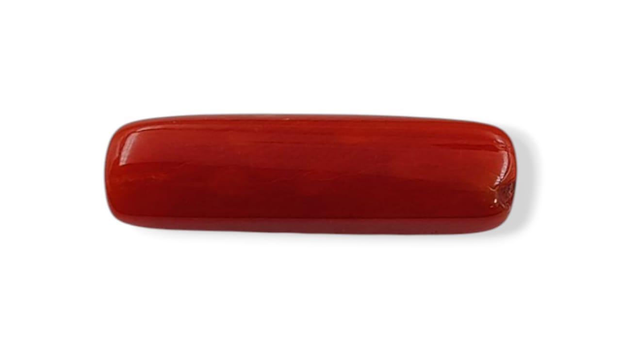 Coral (Regular) - Italian