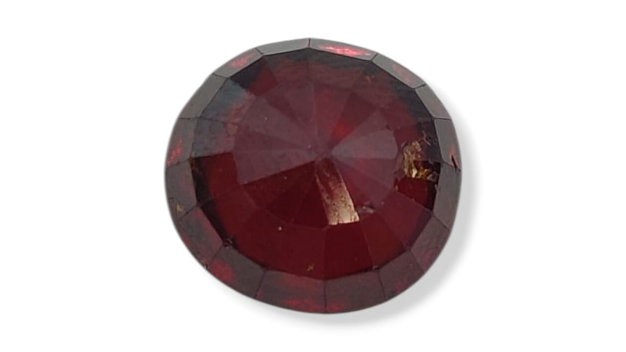 Gomedh (Medium) - Sri Lanka