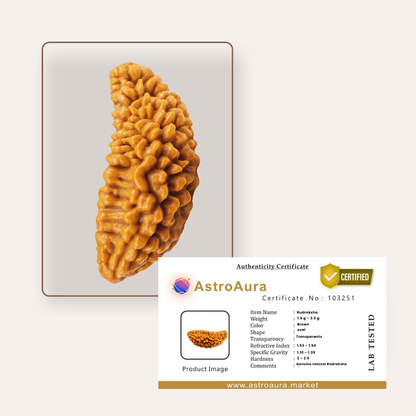 1 Mukhi Rudraksha Certified (Rameswaram)