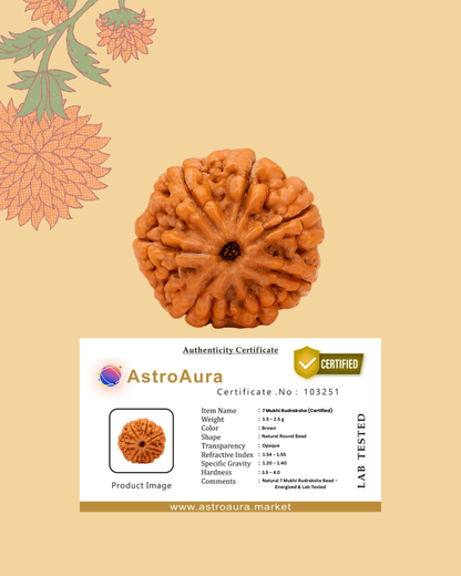 7 Mukhi Ruraksha Certified (Nepal)