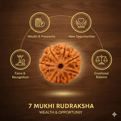 7 Mukhi Ruraksha Certified (Nepal)