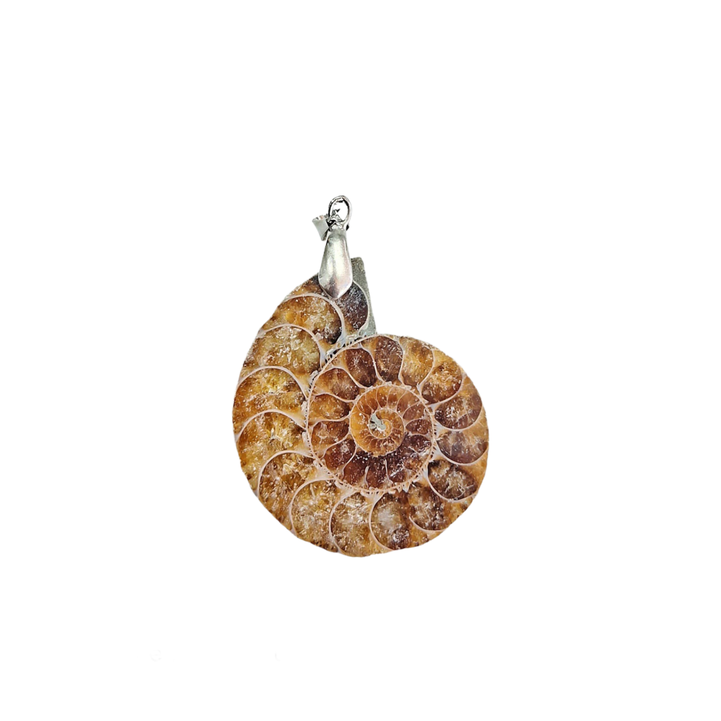 Ammonite Pendant