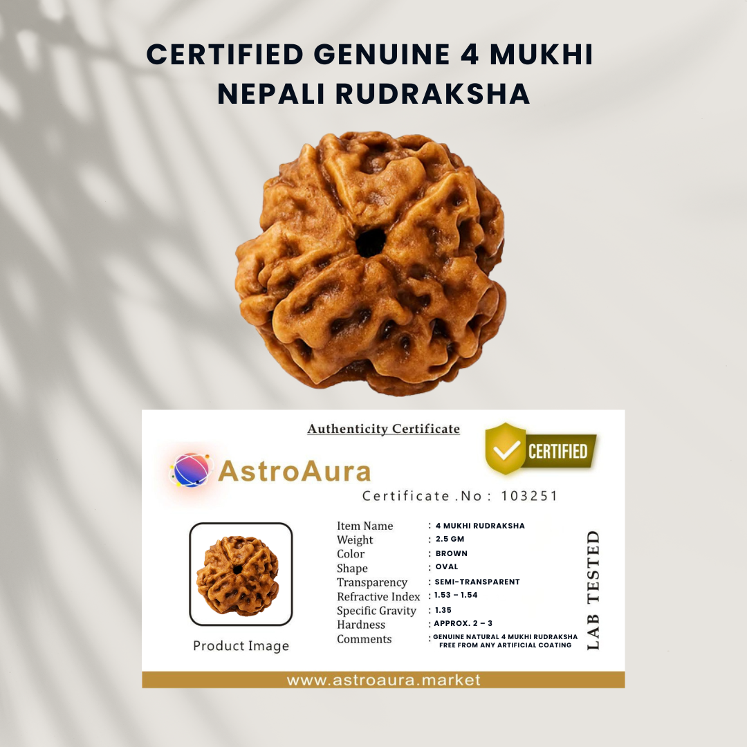 4 Mukhi Rudraksha Certified (Nepal)