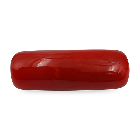 Coral (Regular) - Italian