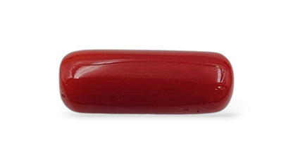 Coral (Premium) - Italian