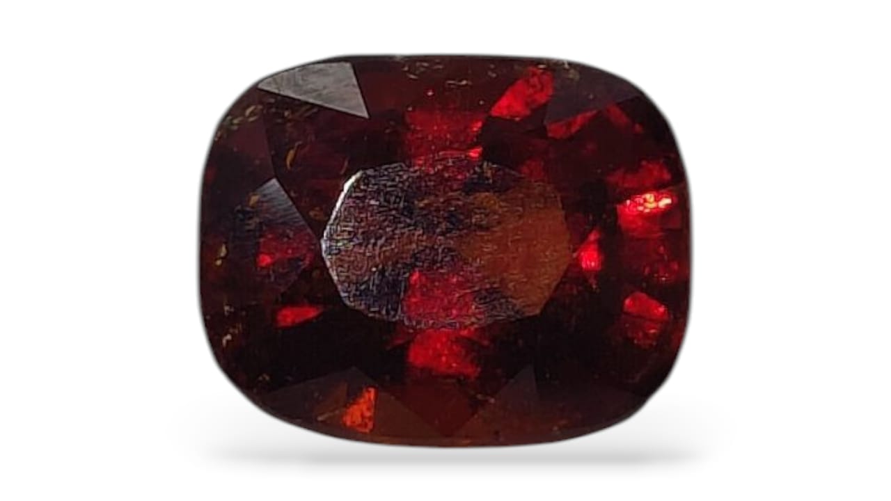 Gomedh (Premium AA) - Sri Lanka