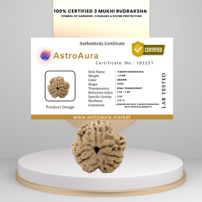 3 Mukhi Rudraksha Lab Certified (Nepal)