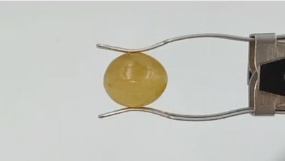 Cat Eye (Medium) - Indian