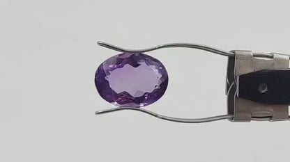 Amethyst (Medium) - Brazil