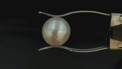 South Sea Pearl (Medium) - Australian