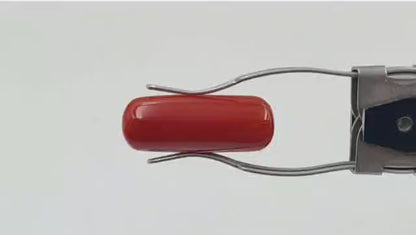 Coral (Premium) - Italian