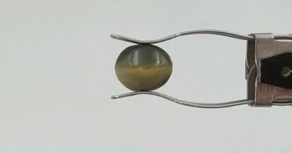 Cat Eye (Premium AAA) - Sri Lanka