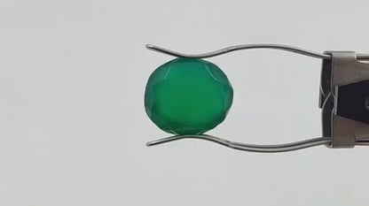 Onyx (Medium) - Indian