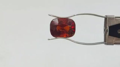 Gomedh (Premium AA) - Sri Lanka