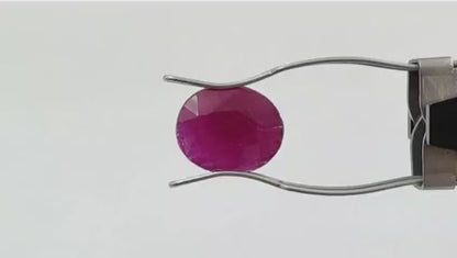 Ruby (Premium) - African