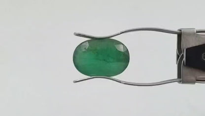 Emerald (Medium) - Brazil