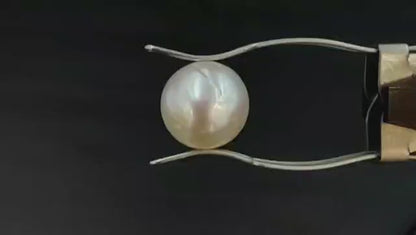 South Sea Pearl (Premium AA) - Australian