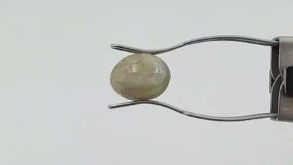 South Sea Pearl (Premium) - Australian