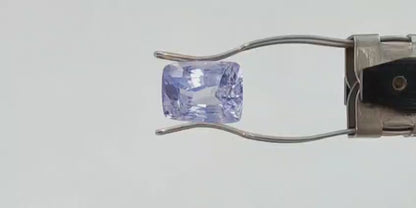 Blue Sapphire (Premium AAA) - Sri Lanka