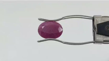 Ruby (Regular) - African