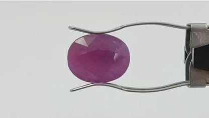 Ruby (Medium) - African