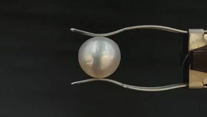 South Sea Pearl (Premium AAA) - Australian