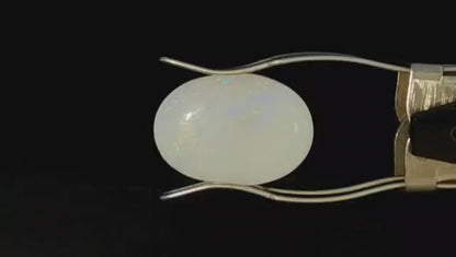 Fire Opal (Medium) - Australian