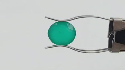 Onyx (Regular) - Indian