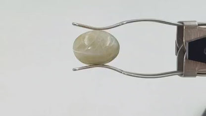 Cat Eye (Premium AA) - Indian