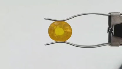 Yellow Sapphire (Regular) - Bangkok
